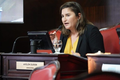 La senadora Ayelén Durán refirió a los hechos de violencia en el distrito
