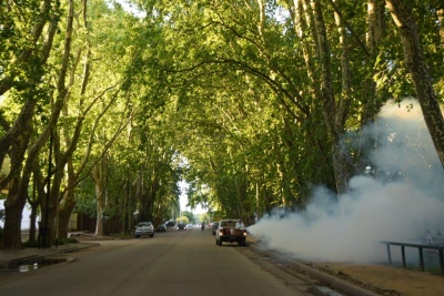 Continúa la fumigación contra los mosquitos en los paseos públicos